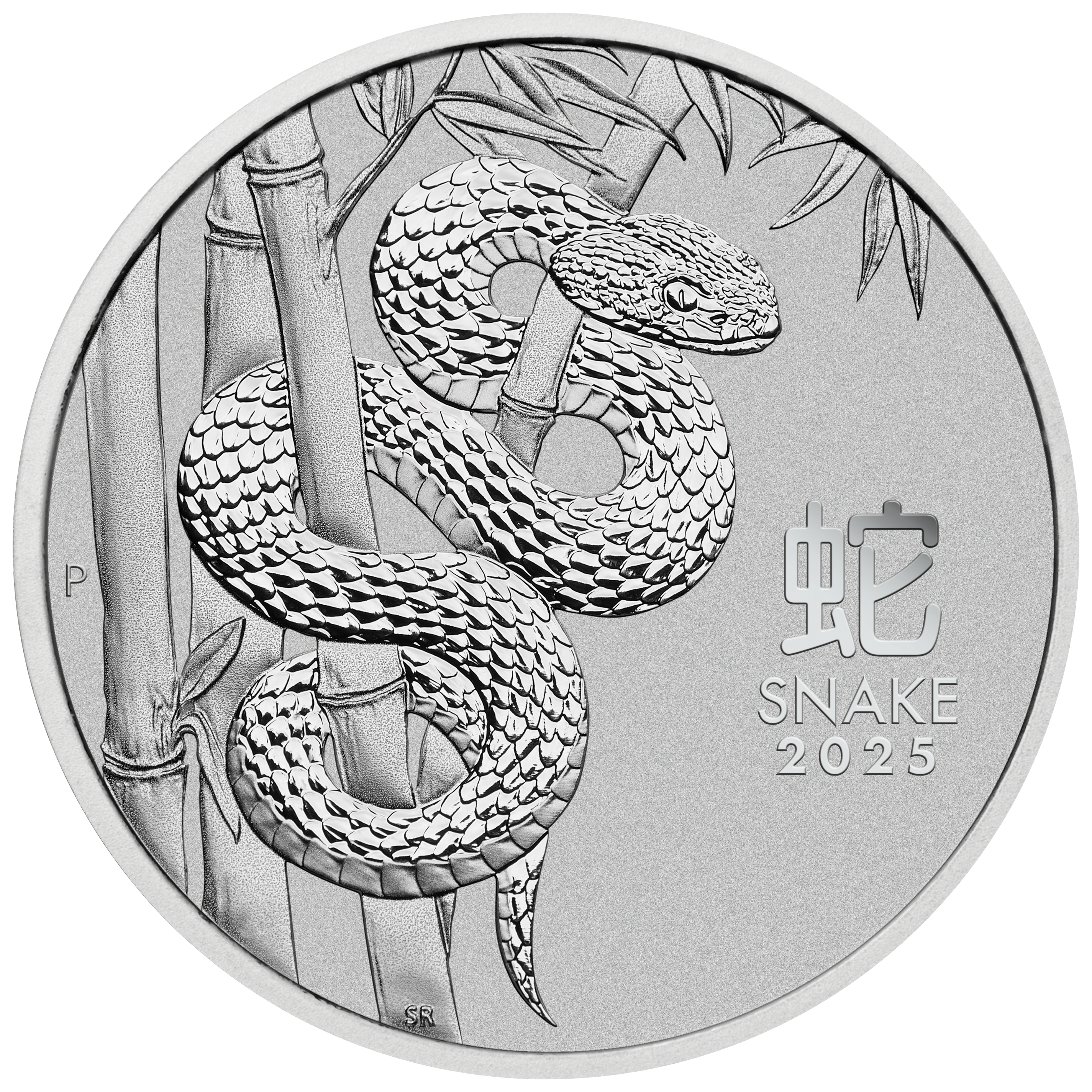 2025 Year of the Snake 1oz .9995 Platinum Bullion Coin - Lunar Series III