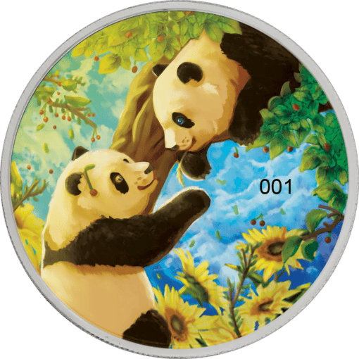 2023 four seasons - chinese panda 30g silver coin - summer