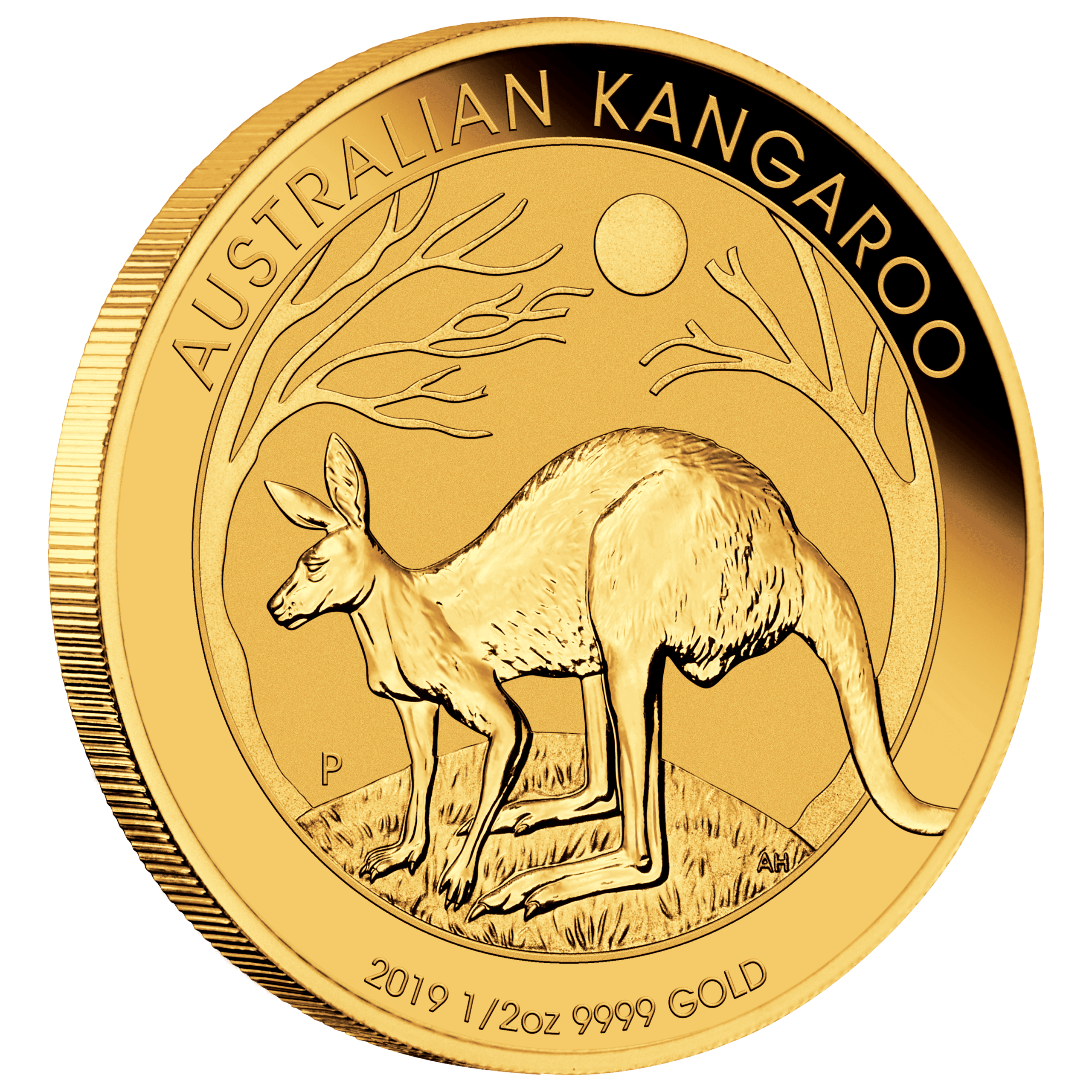 2019 Australian Kangaroo 1/2oz Gold Coin - Image 2