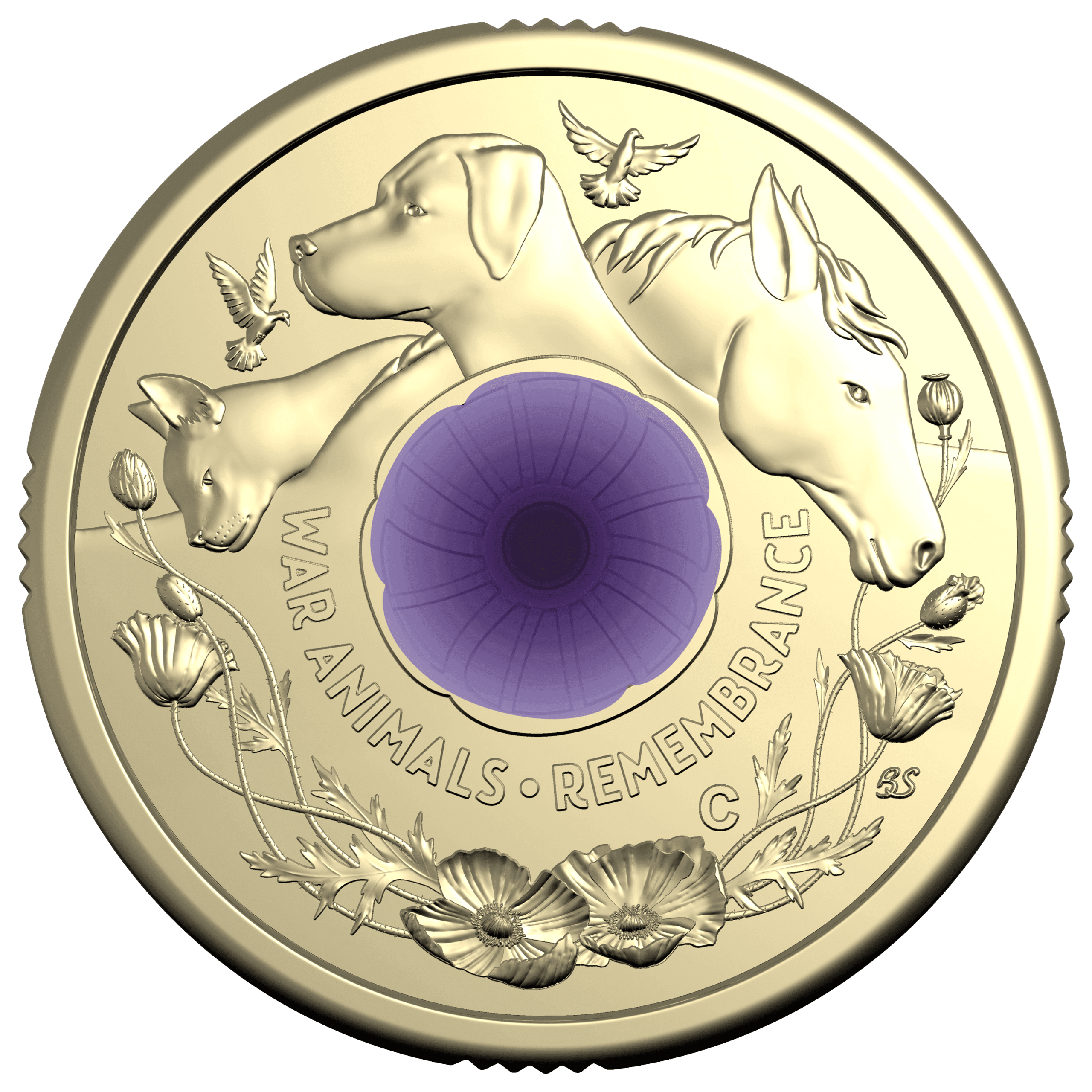 11413-2024-purple-poppy-war-animals-coloured-coin-2024-purple-poppy-war-animals-coloured-coin