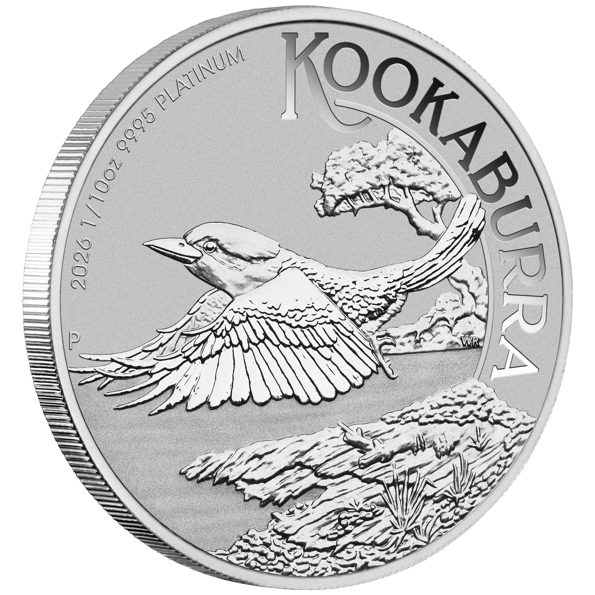 2026 Australian Kookaburra 1/10oz Platinum Coin - Image 2