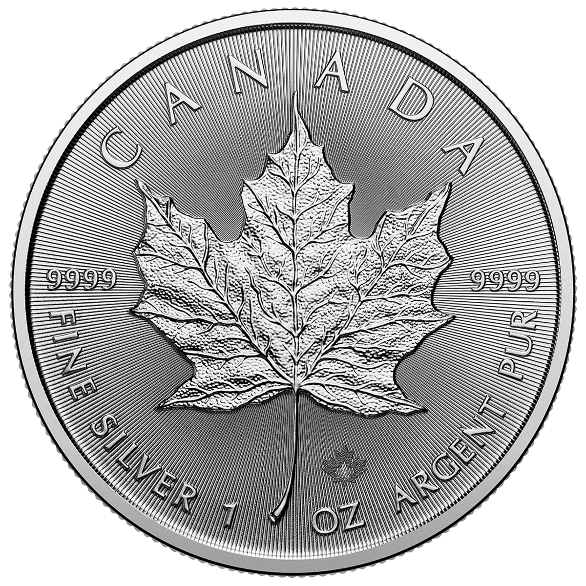 2026 Maple Leaf 1oz Silver Coin