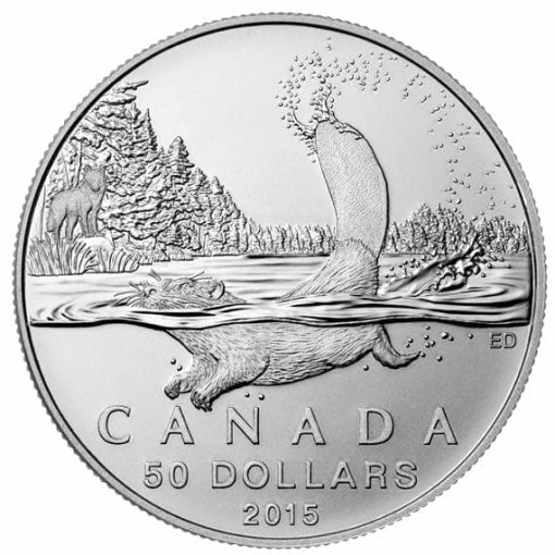 2015-beaver-12oz-9999-silver-coin-50-royal-canadian-mint