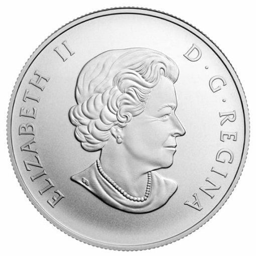 142193-2015-beaver-12oz-9999-silver-coin-50-royal-canadian-mint