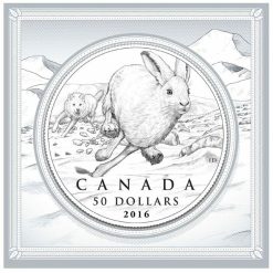 2016-50-hare-12oz-9999-silver-coin-royal-canadian-mint