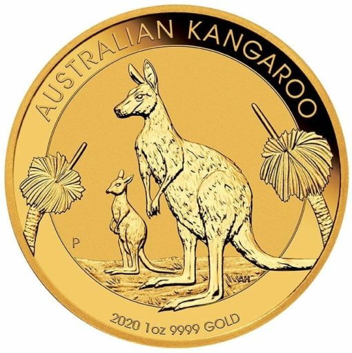 20014daax-2020-australian-kangar