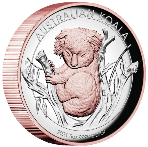 21327kaaa-2021-australian-koala-