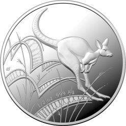 10725-2022-1-kangaroo-bounding-s