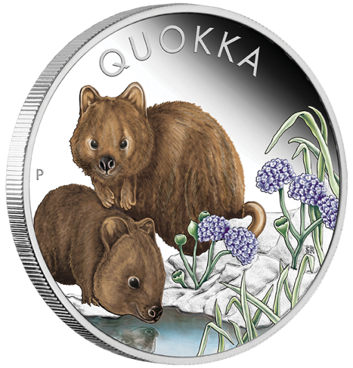 23q63aaa-2023-australian-quokka-