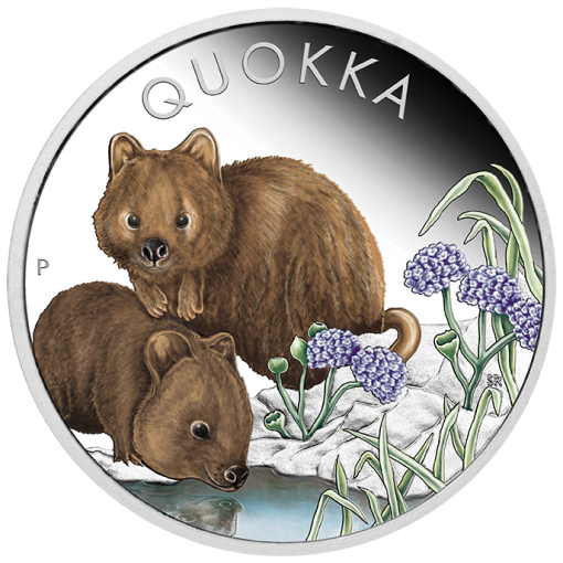 23q63aaa-2023-australian-quokka-