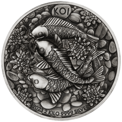 23P74AAA-2023-koi-fish-2-kilo-si