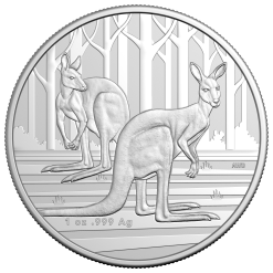 11684 2024-kangaroo-1oz-silver-coin 09-09-24-01-36-43