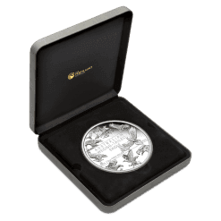 24v35aaa 2024-wedge-tailed-eagle-10th-anniversary-10oz-silver-pr