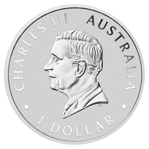 2025 australian emu 1oz coloured silver coin - image 3