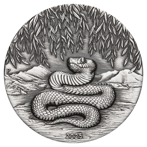 3s2506cgaa 2025-year-of-the-snake-2oz-silver-antiqued-coin 01-21