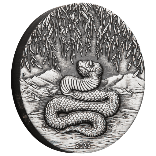 3s2506cgaa 2025-year-of-the-snake-2oz-silver-antiqued-coin 01-21