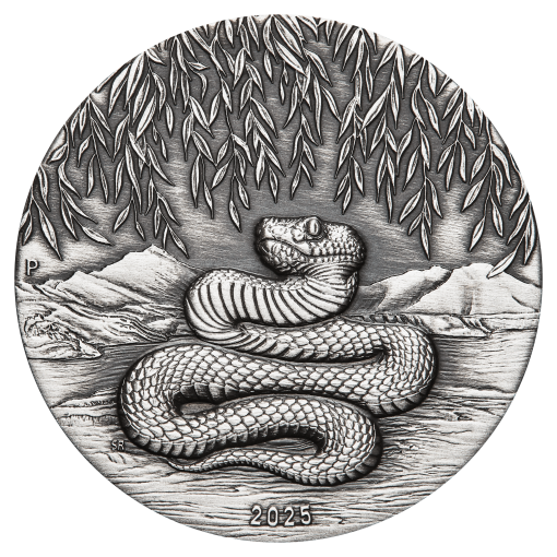 3s2506cgaa 2025-year-of-the-snake-2oz-silver-antiqued-coin 01-21