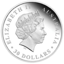 2015 australian koala 1 kilo silver proof coin - the perth mint 999 & 9999