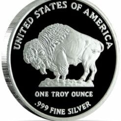 2013 Buffalo / Indian Head 1oz .999 Silver Bullion Coin 3
