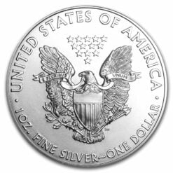 2013 American Eagle 1oz .999 Silver Bullion Coin ASE 3