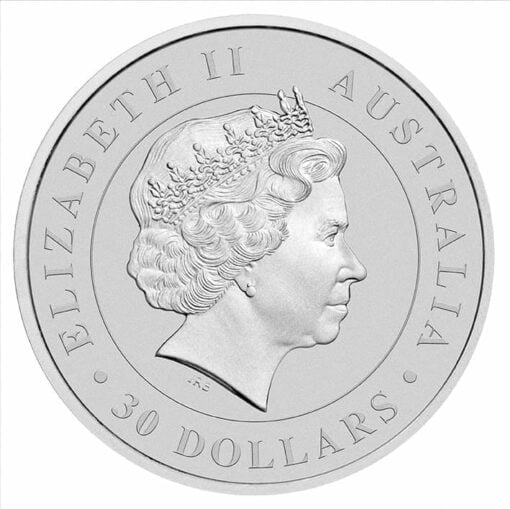 2015 Australian Koala 1kg Silver Bullion Coin 3