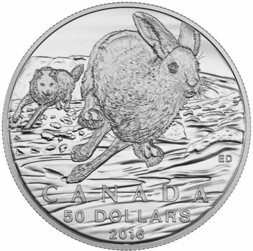 2016 $50 Hare 1/2oz .9999 Silver Coin - Royal Canadian Mint 1