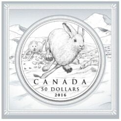 2016 $50 Hare 1/2oz .9999 Silver Coin - Royal Canadian Mint 5