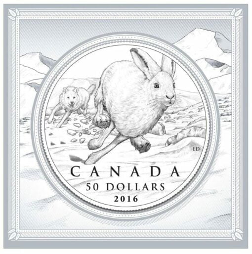 2016 $50 Hare 1/2oz .9999 Silver Coin - Royal Canadian Mint 3