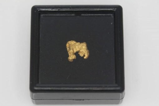 Natural Western Australian Gold Nugget - 0.80g 9