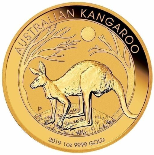 2019 Australian Kangaroo 1oz Gold Bullion Coin 1