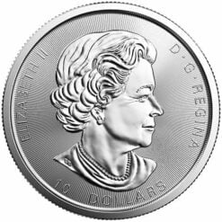 2017 Silver Twin Maples 2oz .9999 Silver Bullion Coin - Maple Leaf - Royal Canadian Mint 3
