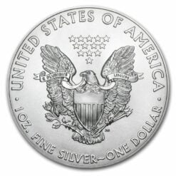 2019 Da Vinci Vitruvian Man - American Eagle 1oz Silver Coin 5