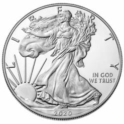 2020 American Silver Eagle 1oz .999 Silver Bullion Coin ASE (500oz Monsterbox) 5