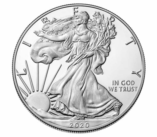 2020 American Silver Eagle 1oz .999 Silver Bullion Coin ASE (500oz Monsterbox) 3