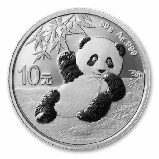 2020 Chinese Silver Panda 30g .999 Silver Bullion Coin 1