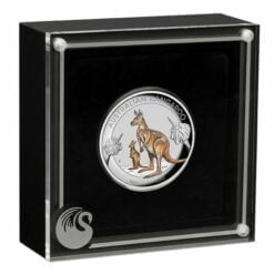 2020 Australian Kangaroo 1oz .9999 Coloured High Relief Silver Coin 8