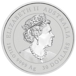 2022 Year of the Tiger 1kg .9999 Silver Bullion Coin – Lunar Series III - 1 Kilo 2