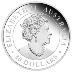 2021 Australian Wedge-Tailed Eagle 1kg .9999 Silver Incused Coin - 1 Kilo