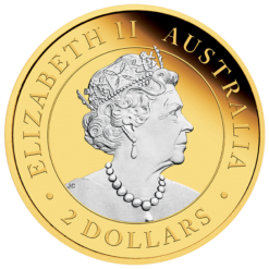 2022 Australian Kangaroo 2oz .9999 Silver Reverse Gilded Coin
