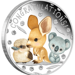2023 newborn baby 1/2oz silver proof coin