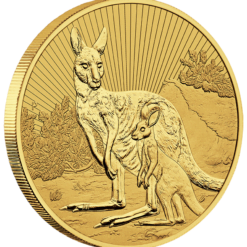 2023 mother & baby kangaroo 2oz gold bullion coin