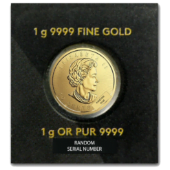 Maple Gram 1g Gold Bullion Coin - Random Year