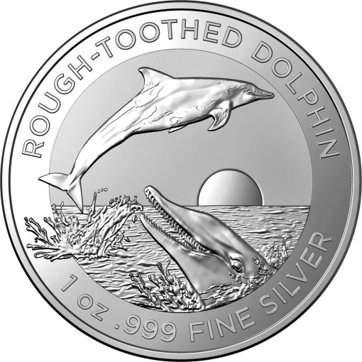 2023 rough-toothed dolphin 1oz silver bullion coin