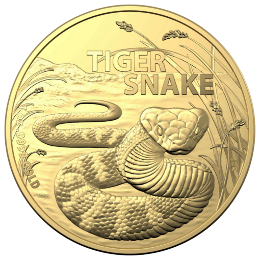 2024 australia’s most dangerous – tiger snake 1oz .9999 gold bullion coin