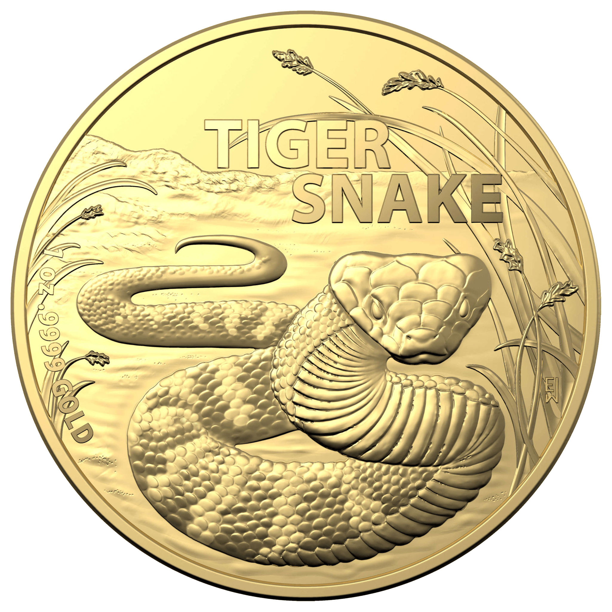 Royal Australian Mint | 2024 Tiger Snake 1oz Gold Bullion Coin